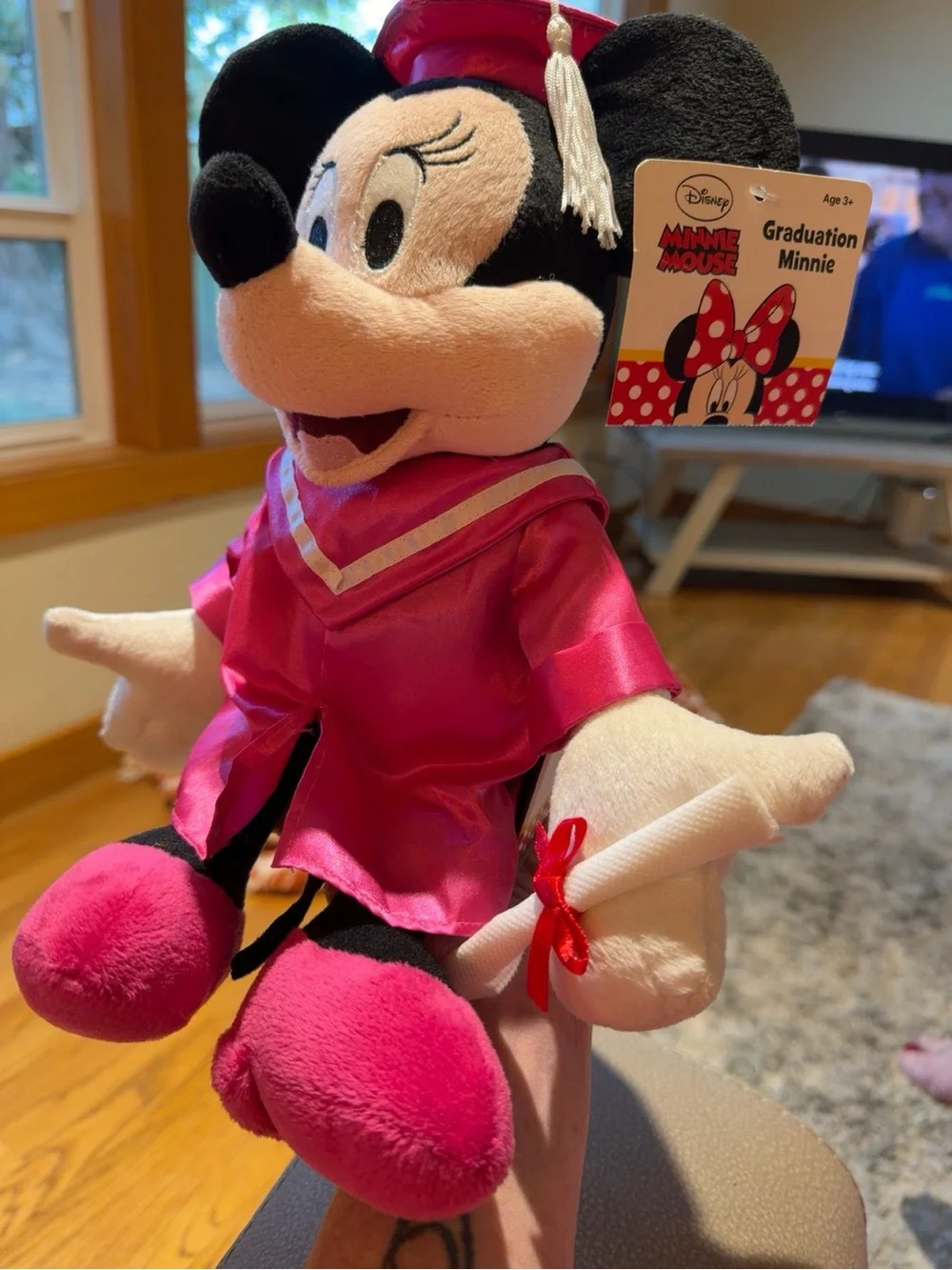 *NWT* Disney Minnie Mouse Hot Pink Graduation Plush