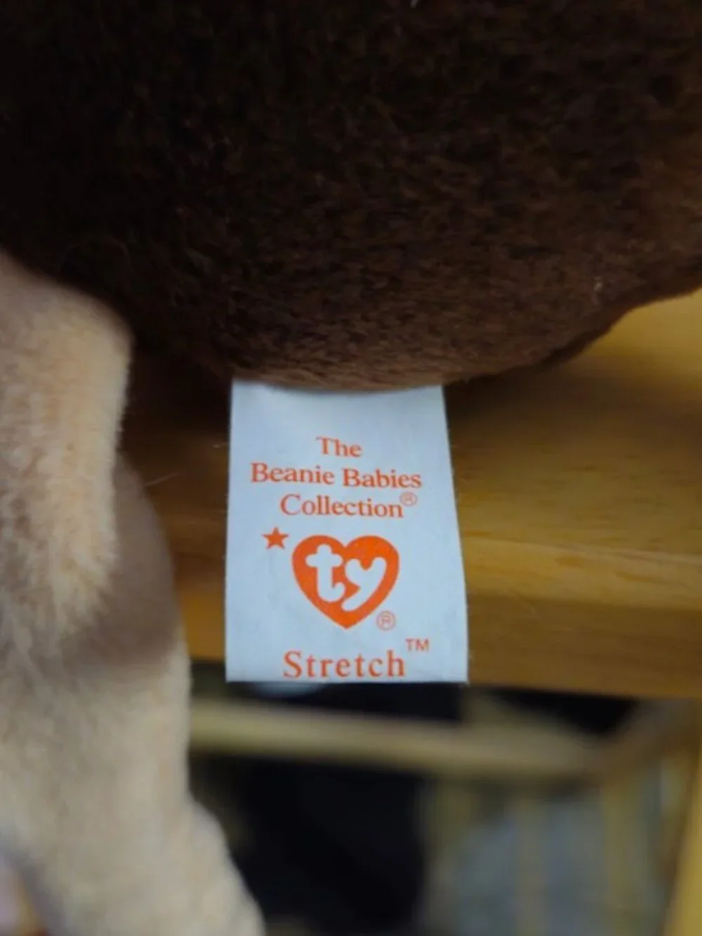Ty Beanie Baby Stretch The Ostrich With Tags Attatched