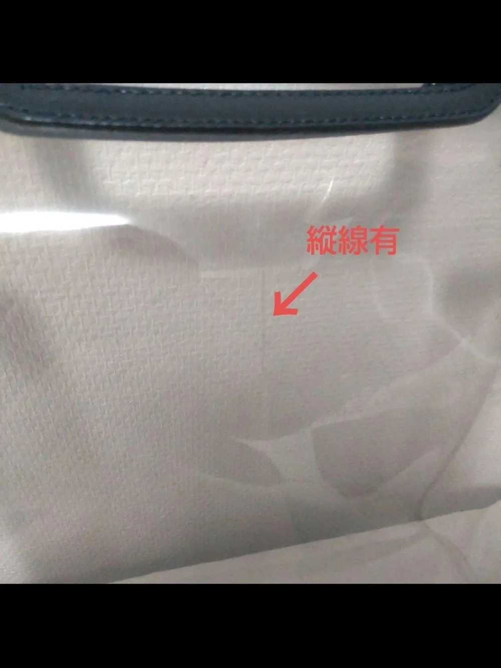 Gucci clear pvc