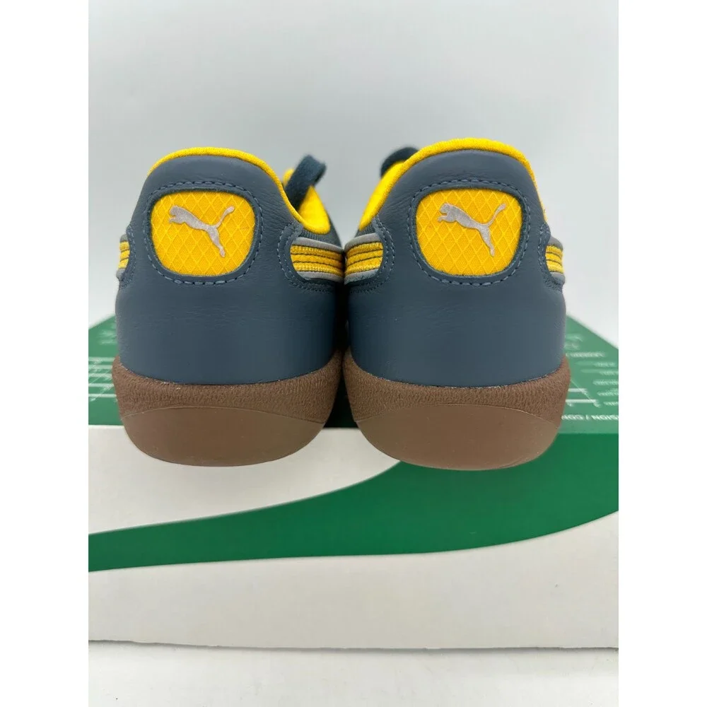 Puma strive questions