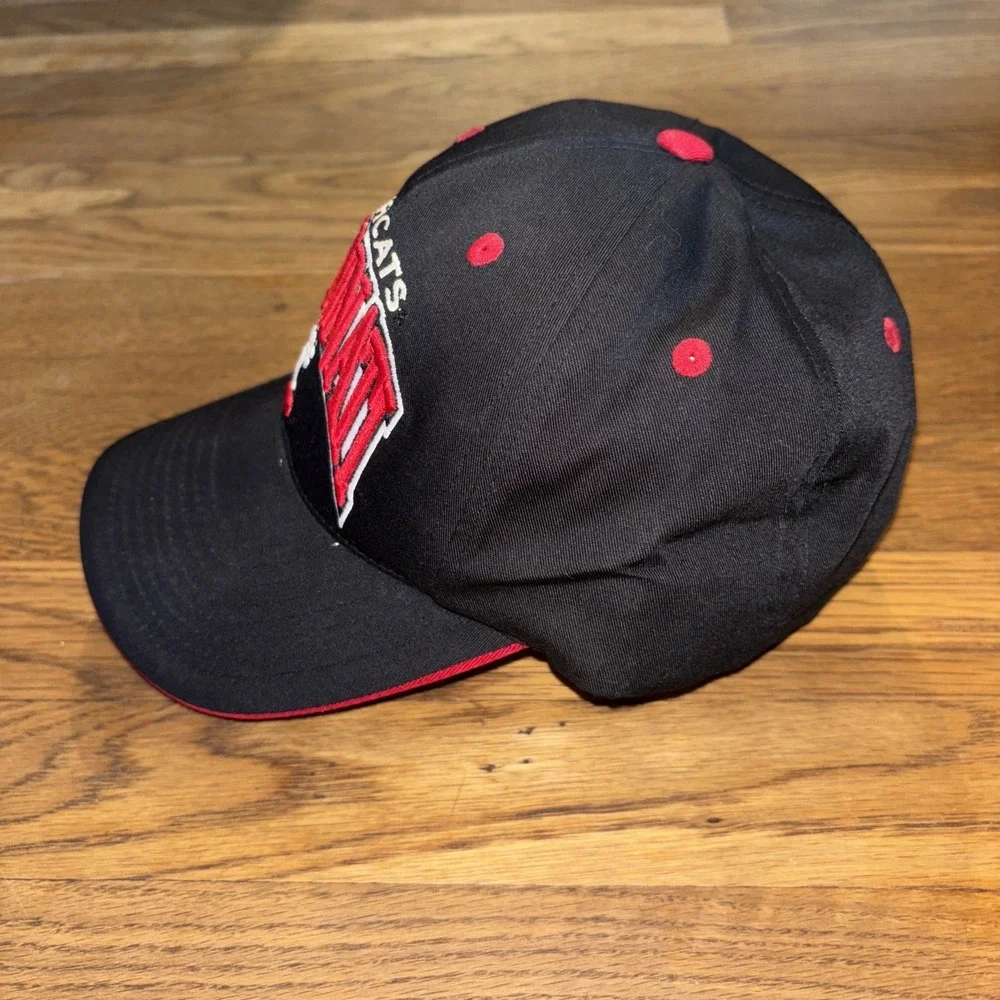 NEW Y2K Cincinnati Bearcats Cap Dad Hat Adjustable Top of the World‎ Embroidered