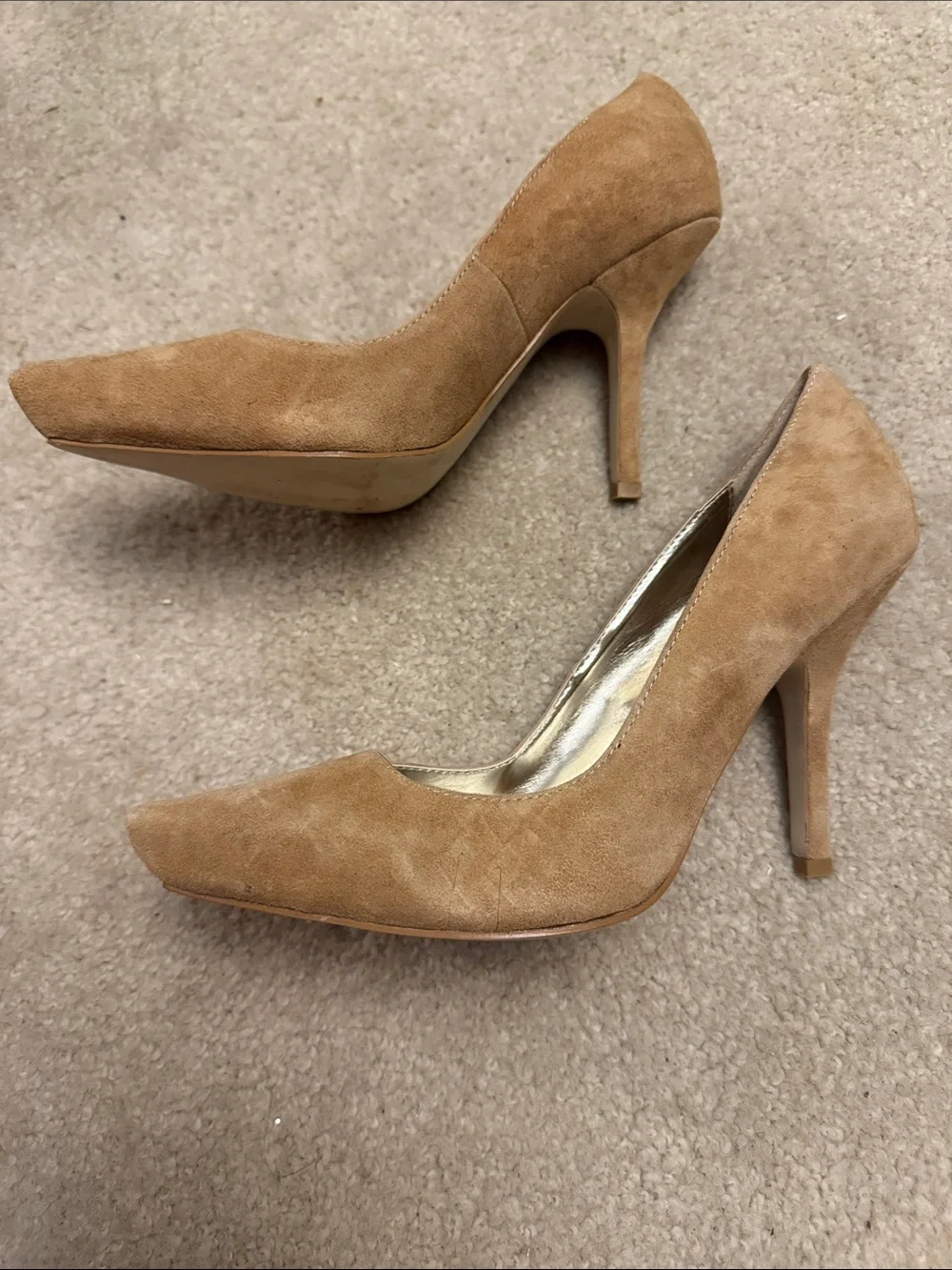 bebe dressy pointed
