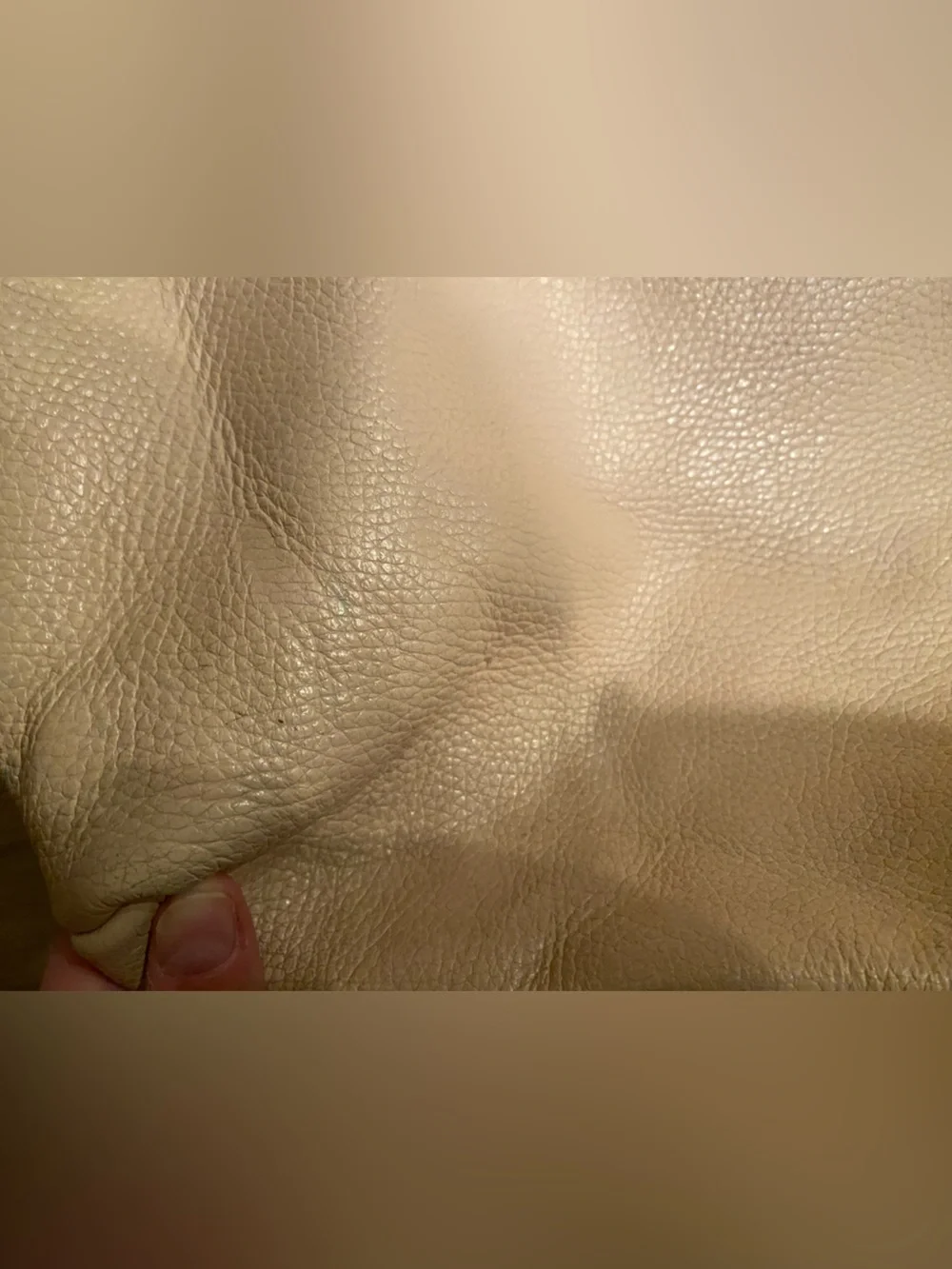 Cuyana versatile nude