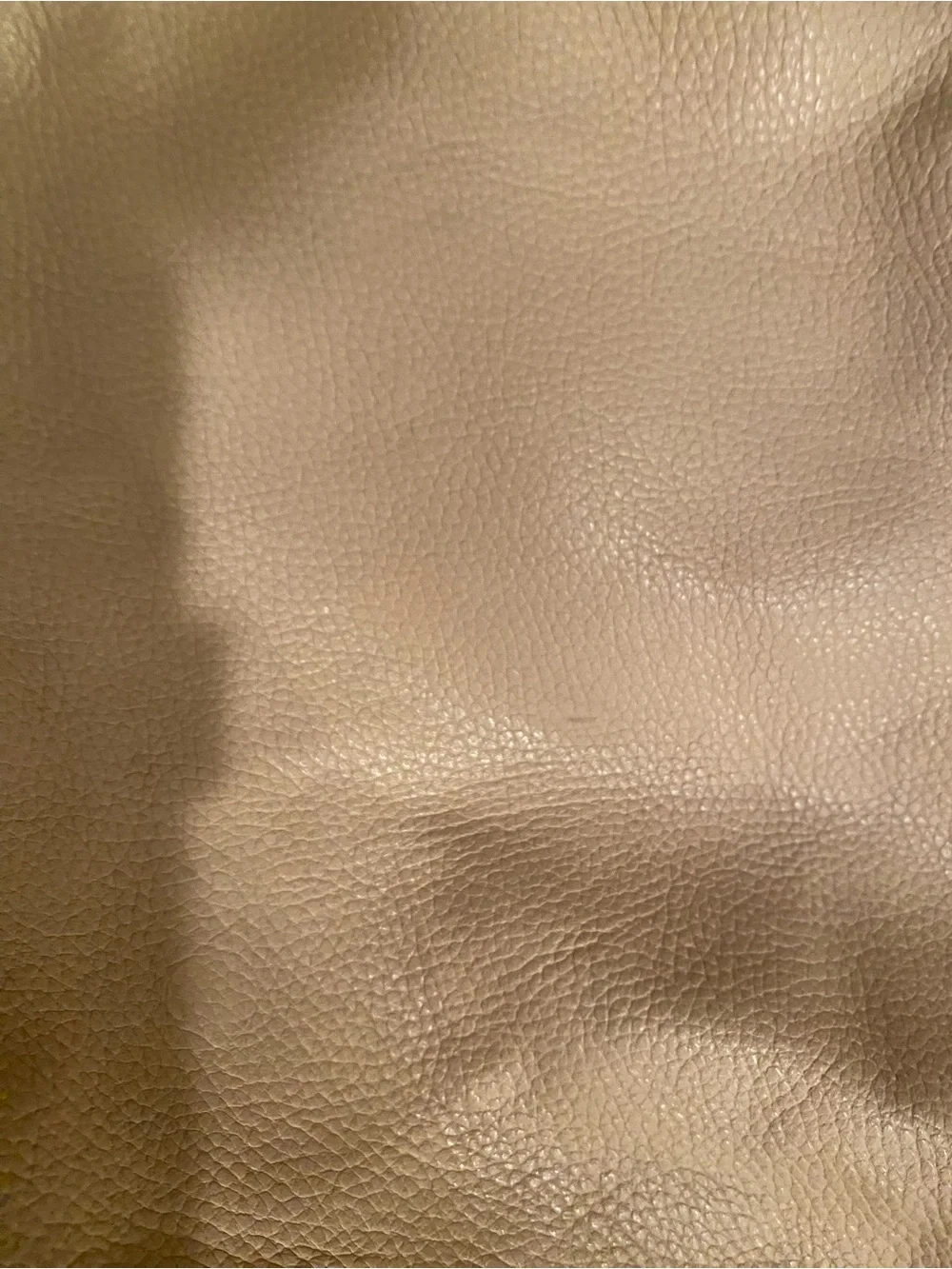 Cuyana versatile nude