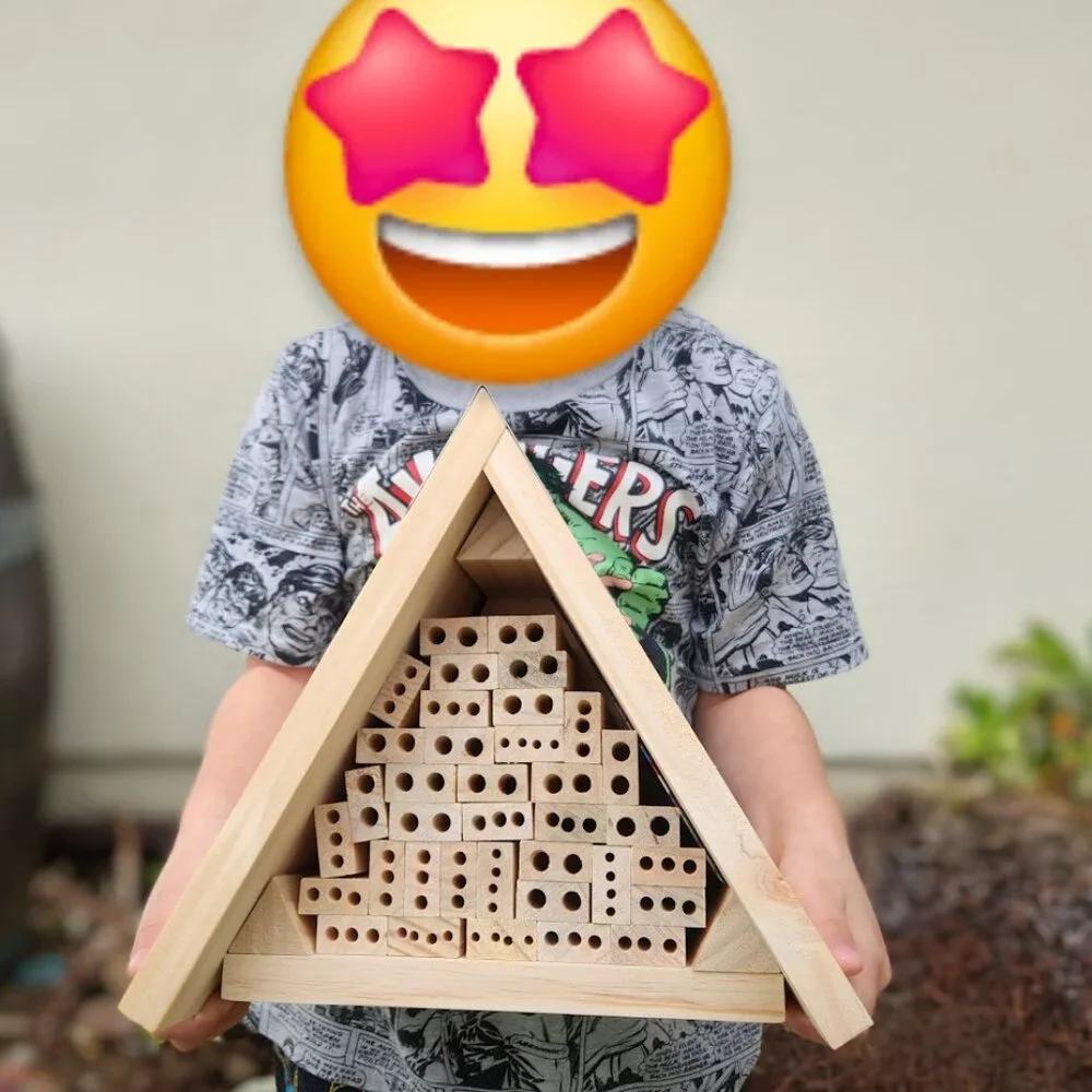 Haba terra kids