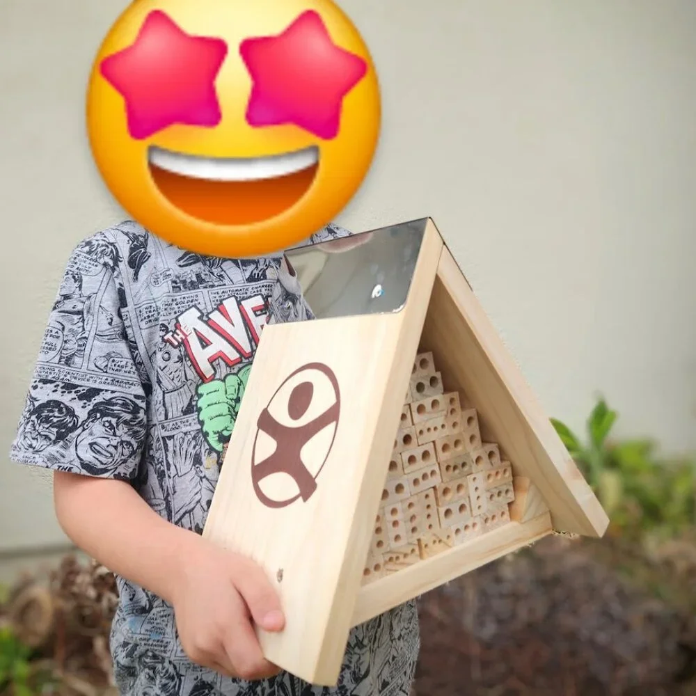 Haba terra kids