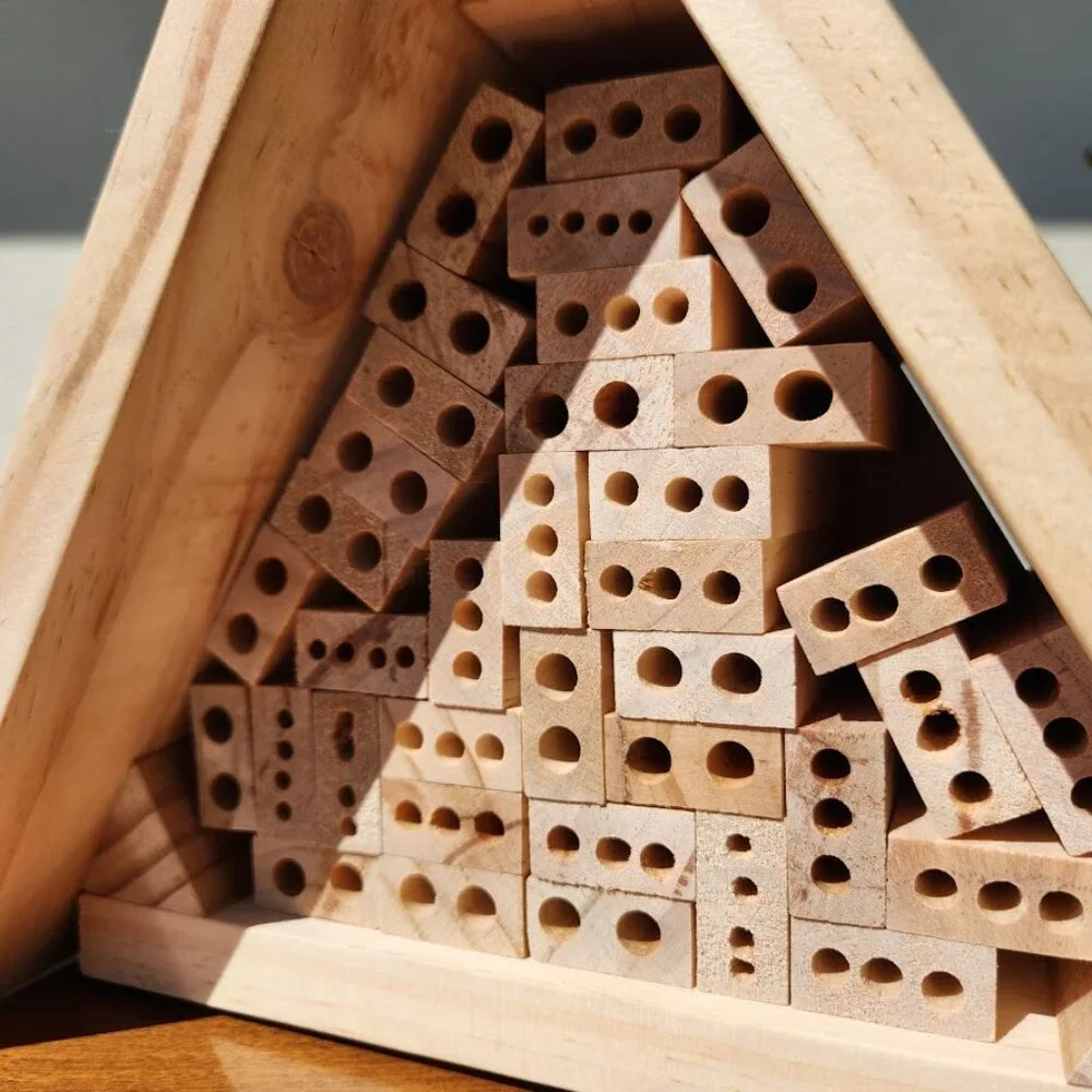 Haba terra kids