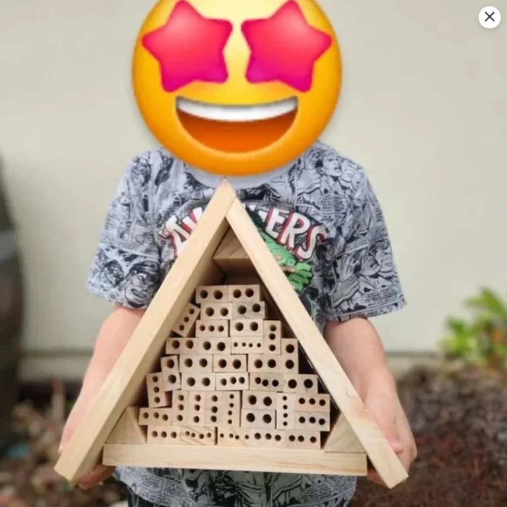 Haba terra kids