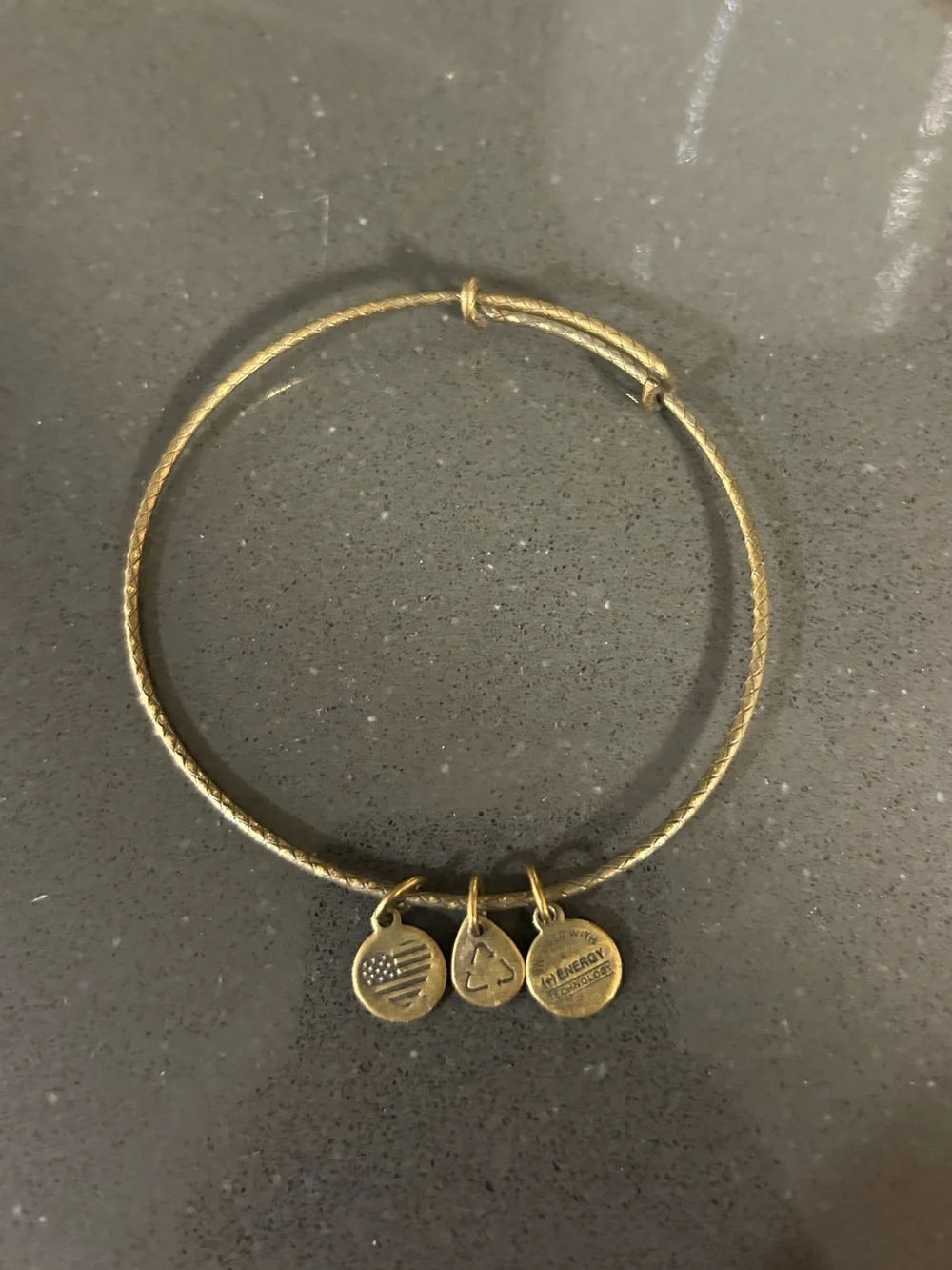 Alex and Ani Classic Gold-Tone Charm Bangle Bracelet