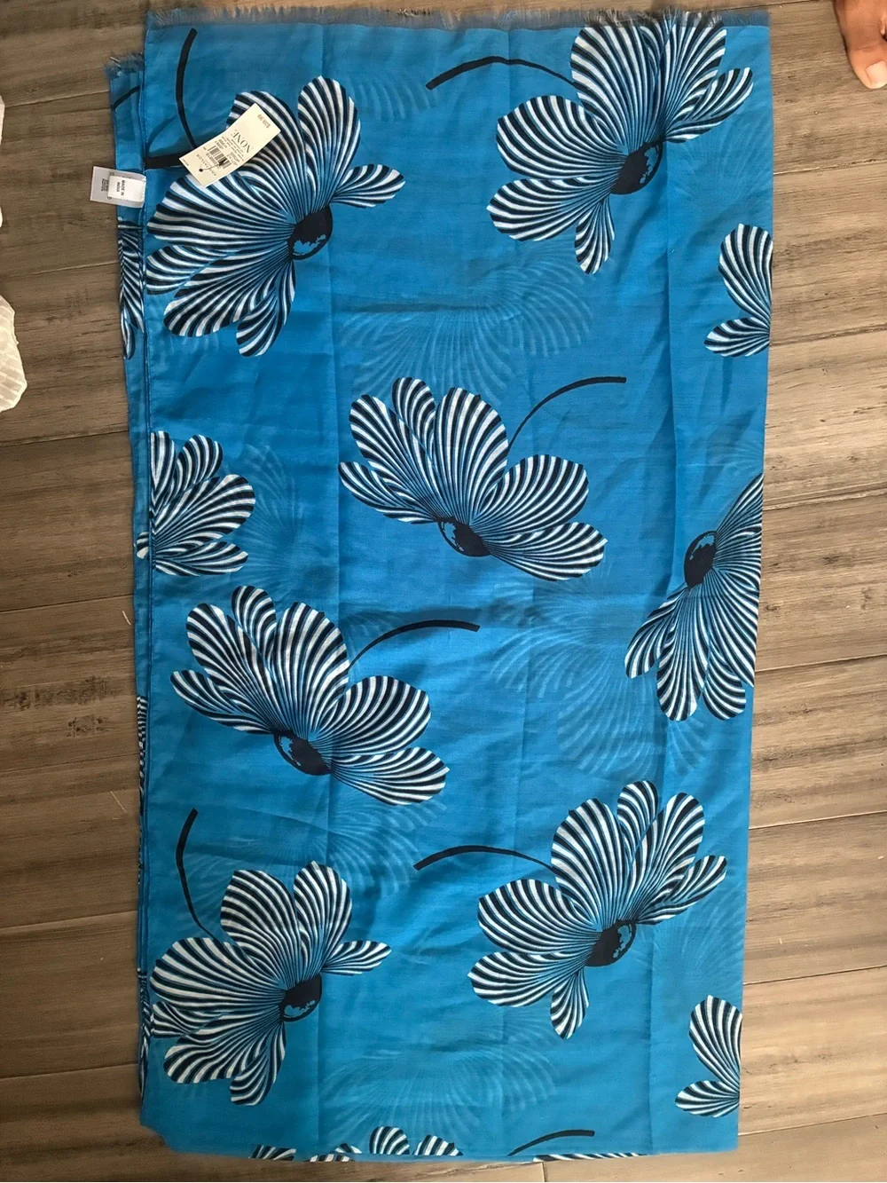 Ann Taylor bright blue