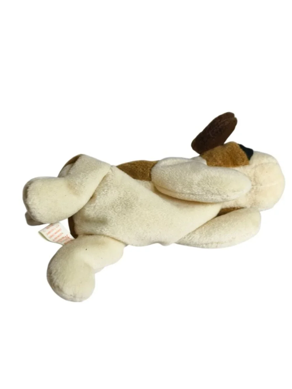 Beanie Babies bernie lovable