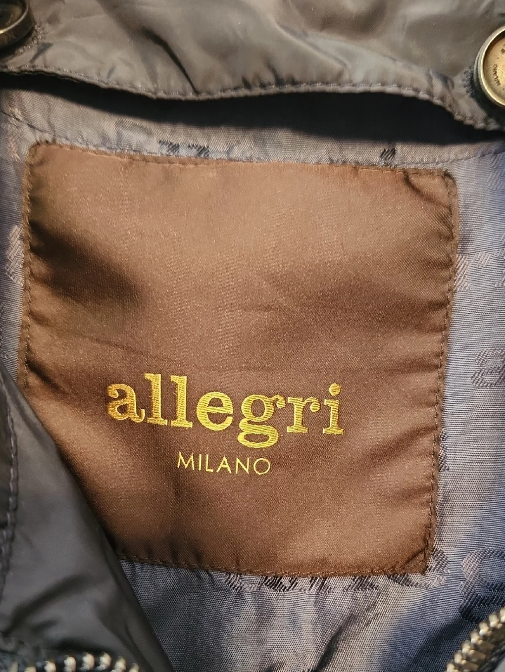 Allegri excellent pre