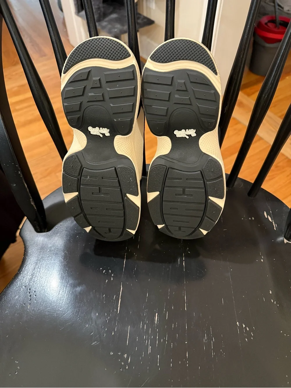 Coach sneakers brand