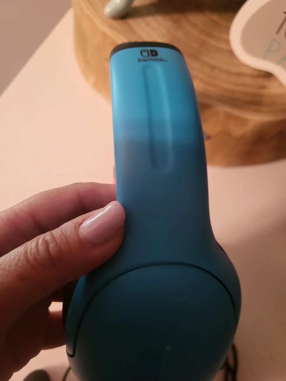 Nintendo switch wired