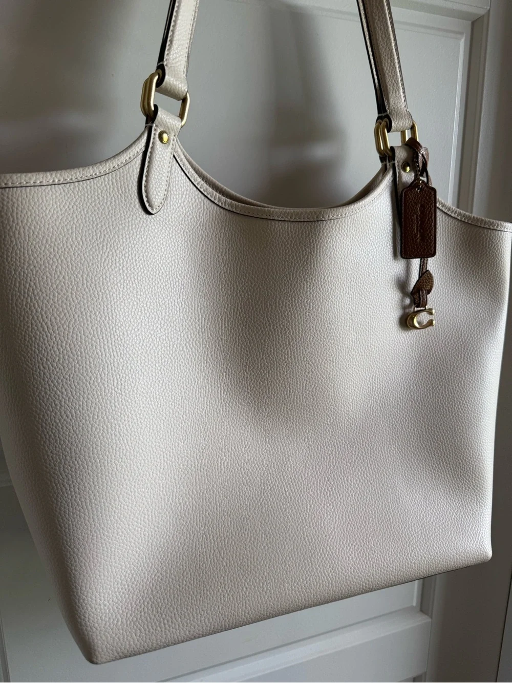 Coach day tote