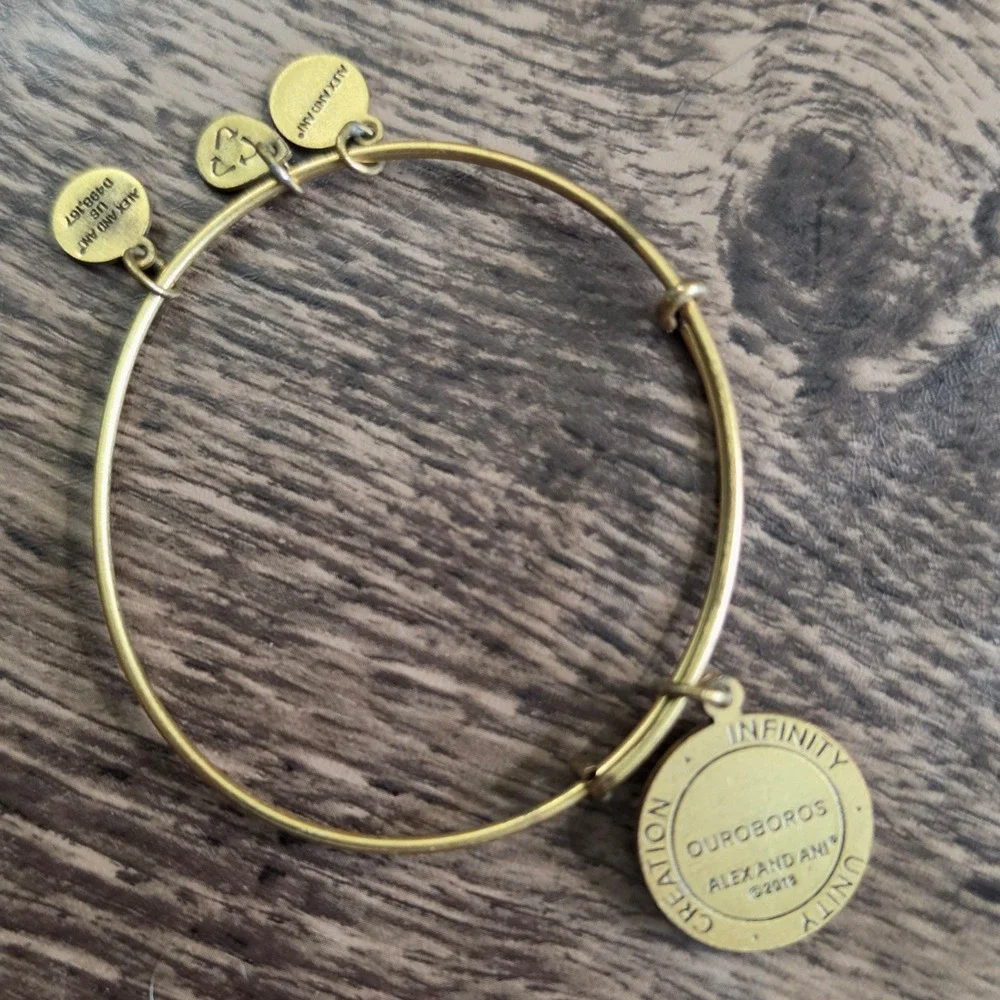 ALEX AND ANI Ouroboros Bangle Women Gold Infinity Unity Creation Bracelet