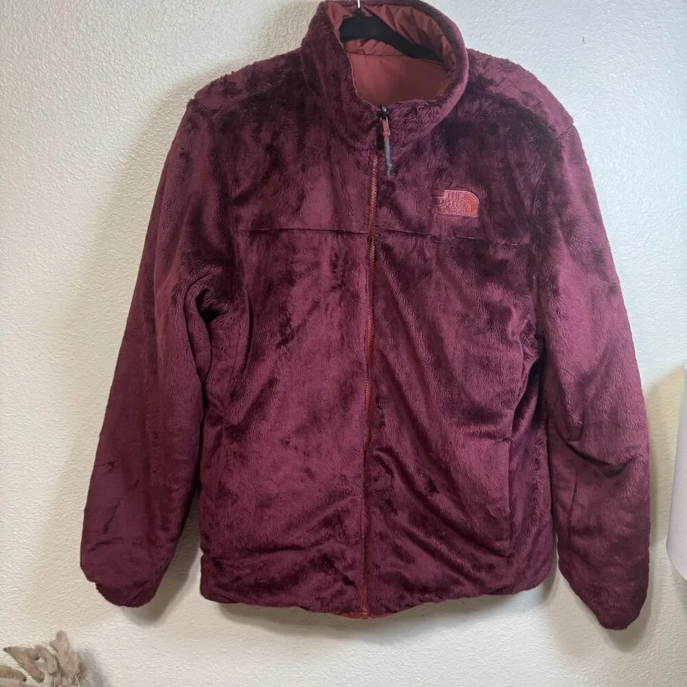 The North Face brand north