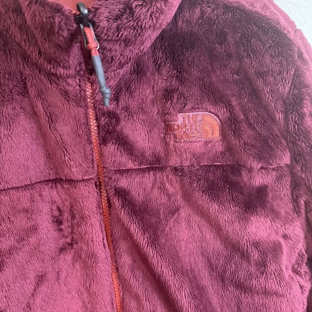 The North Face brand north