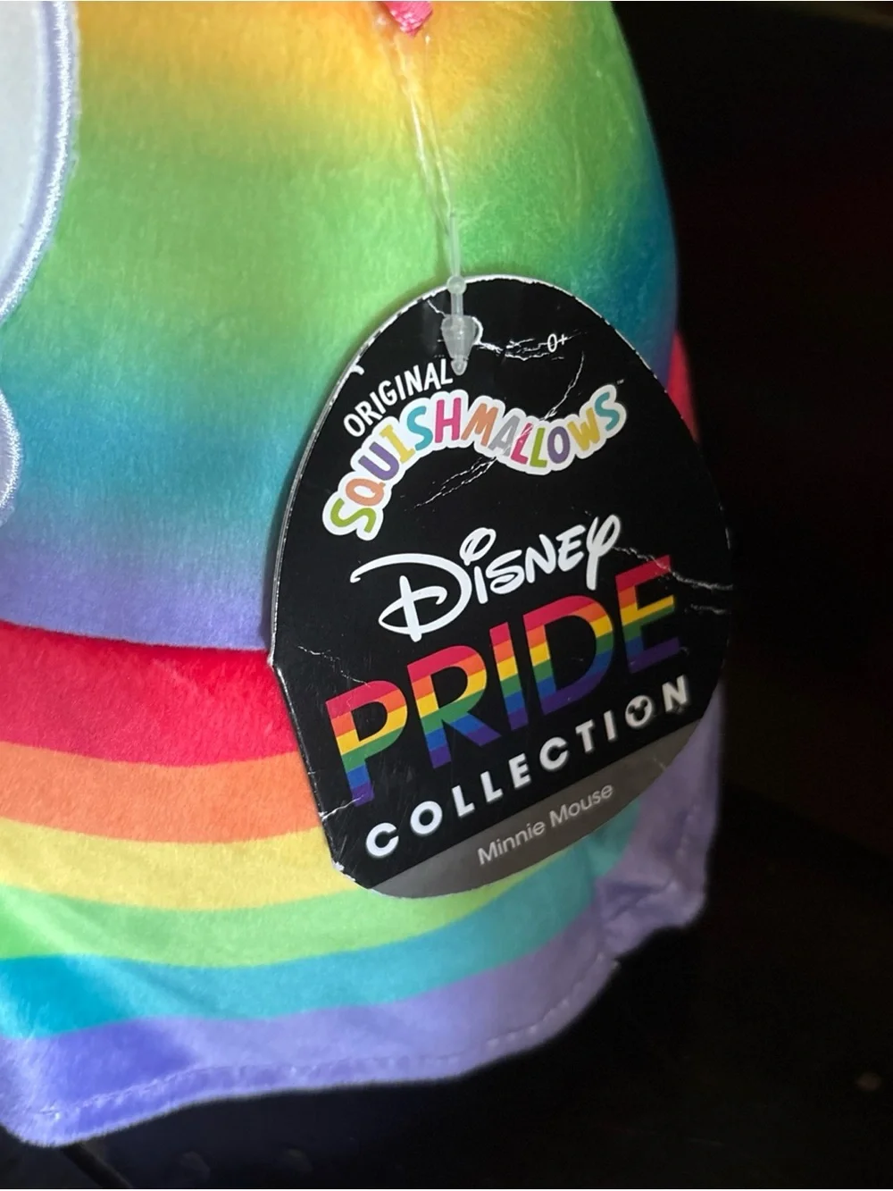 Disney rainbow matching vibrant