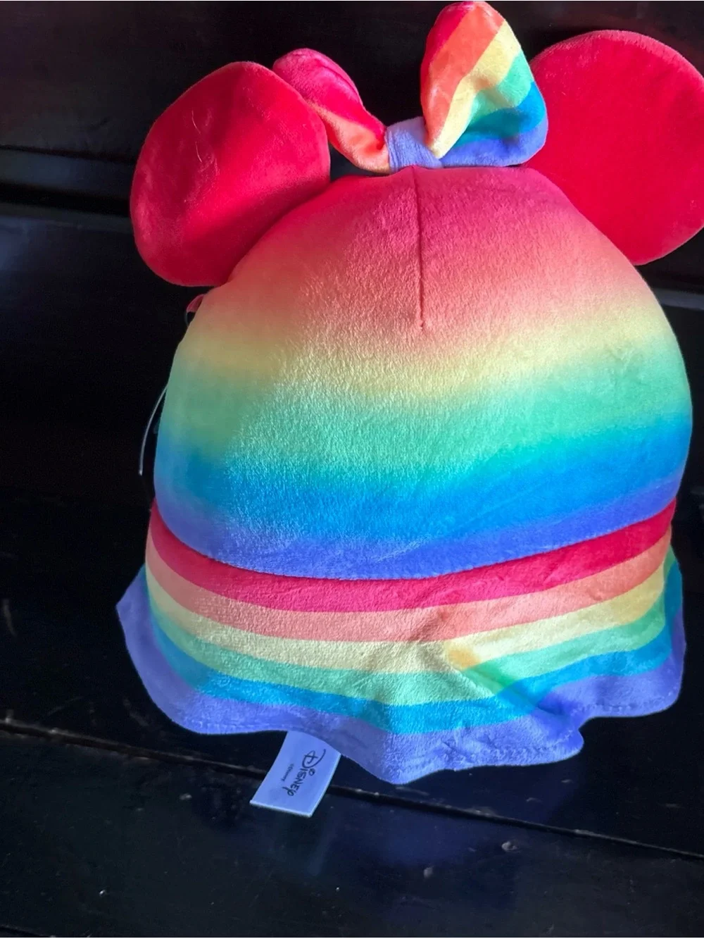 Disney vibrant embroidered