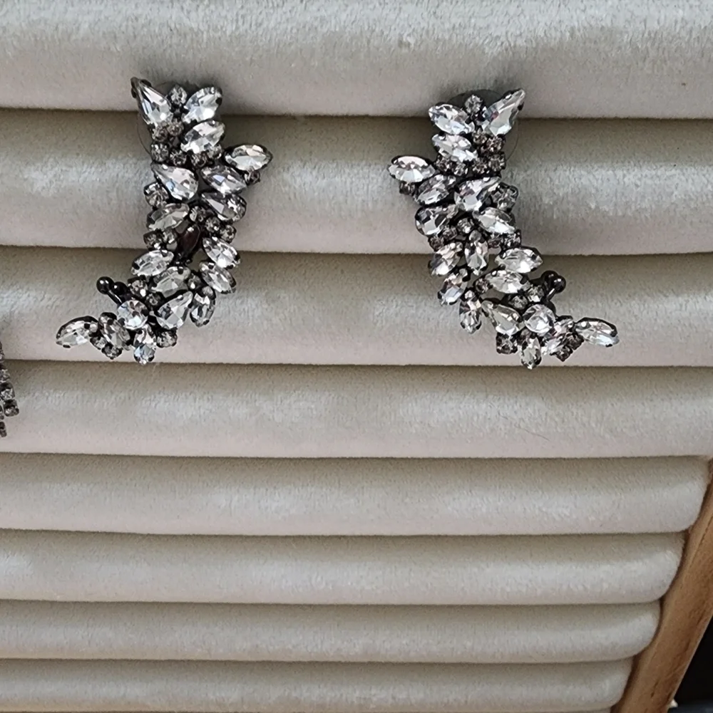 Macys stainless earrings