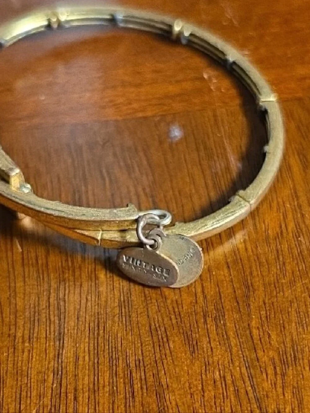 Alex and Ani Gold Tone Triton Charm Bangle