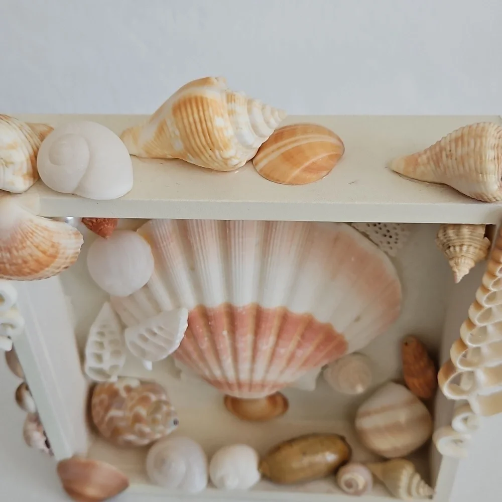N/A natural shell