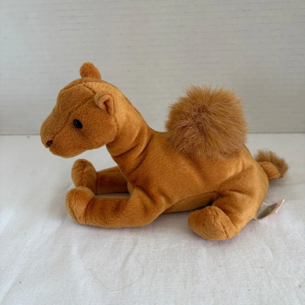 Ty niles camel