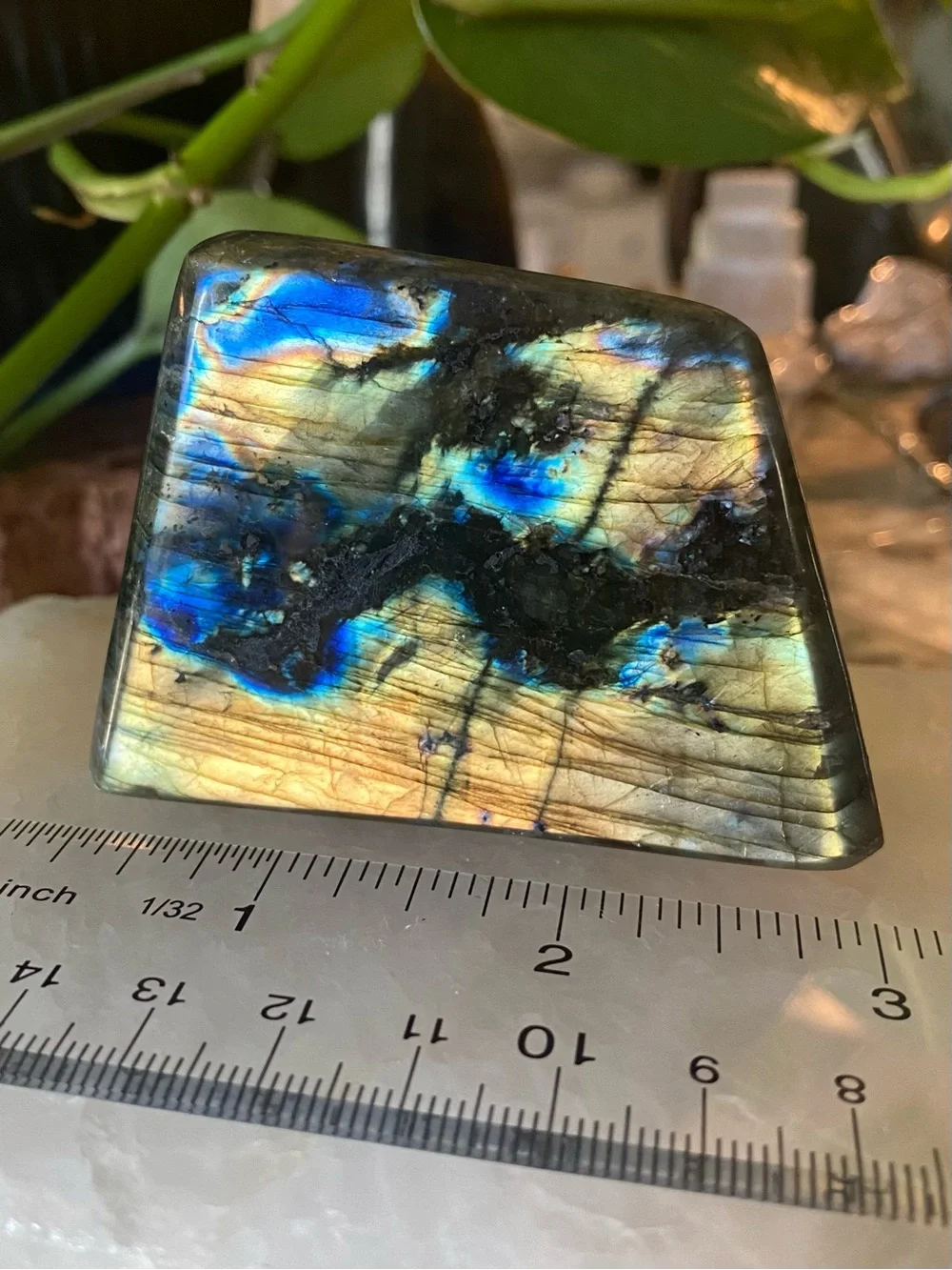 ✨ Golden Sunset Labradorite Freeform ✨