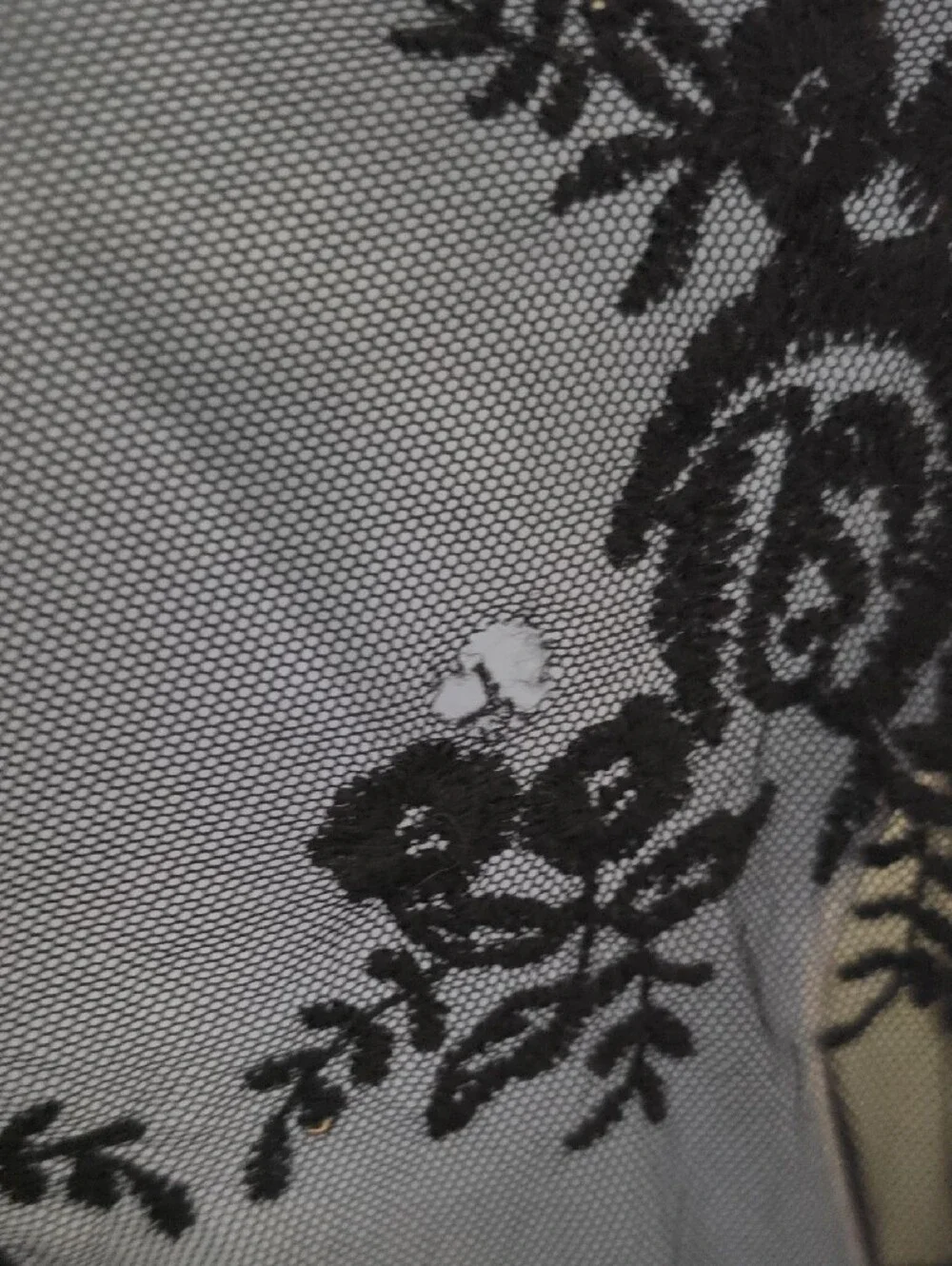 Lane Bryant sheer lace