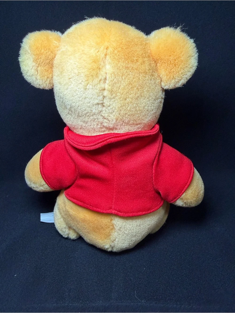 Vintage Winnie the Pooh Disneyland Walt Disney World 8