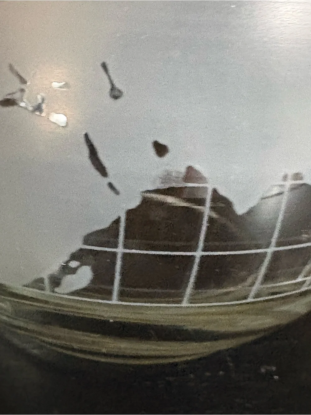 VTG Etched Glass World Globe Oil Candle Base Set of 2 (No Wicks, No Oil)