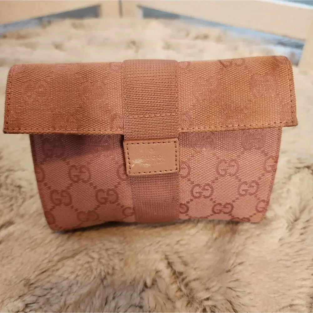 Gucci gg canvas
