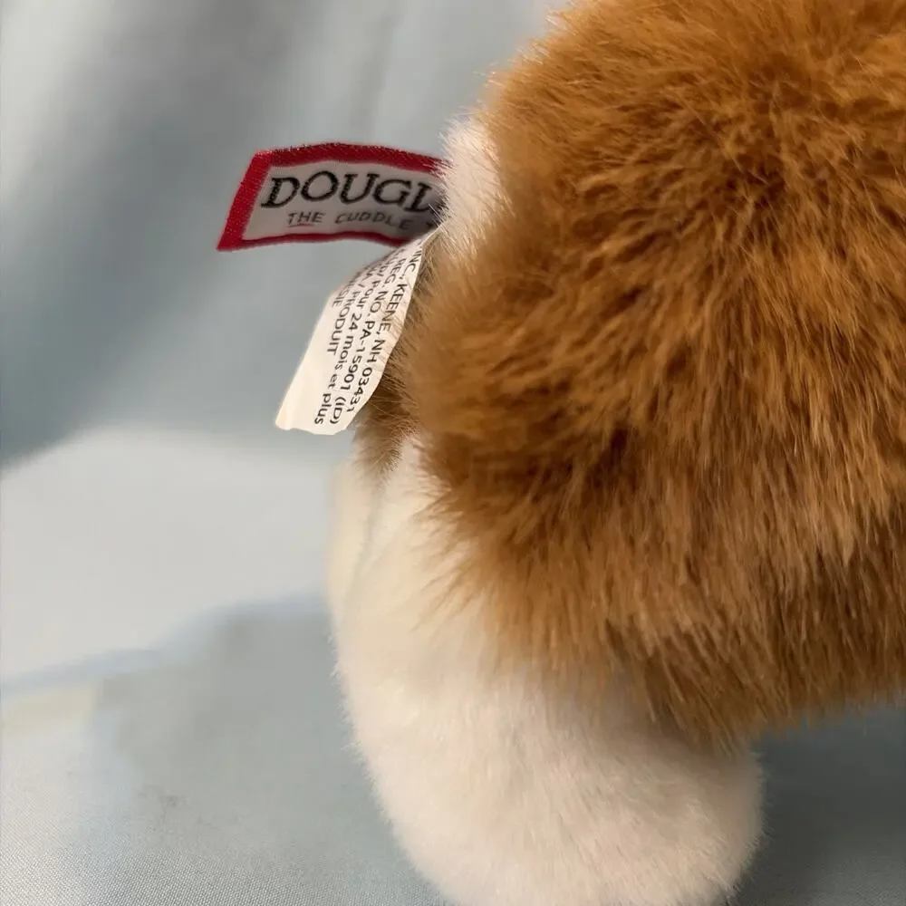 Douglas corgi dog