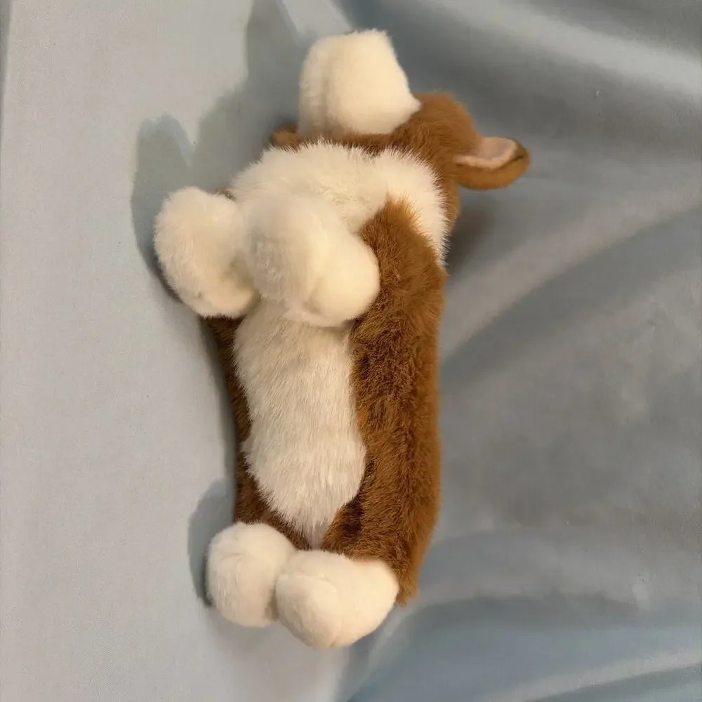 Douglas corgi dog