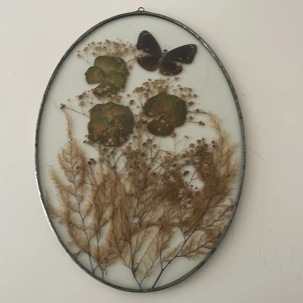 Wall Art dried butterflies and flowers Set of 2