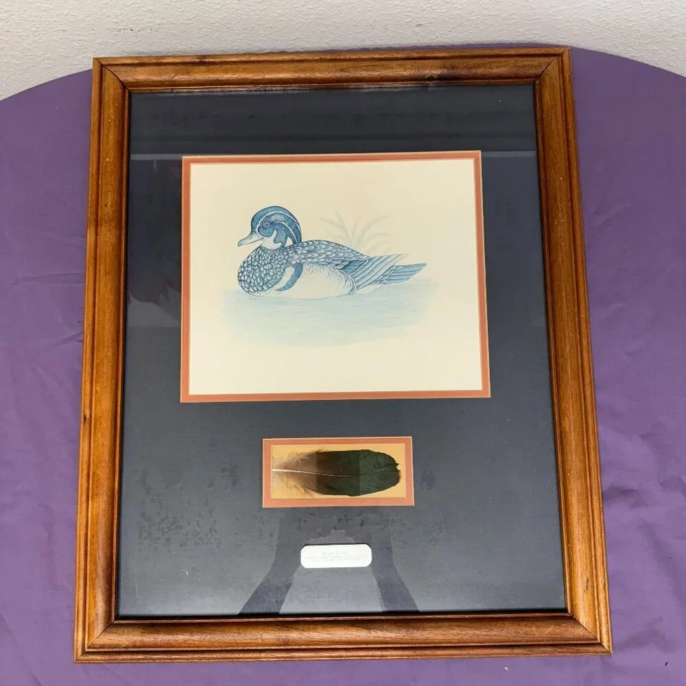Vintage Wall Decor Wood Duck Real original feather Wooden Frame 18.5