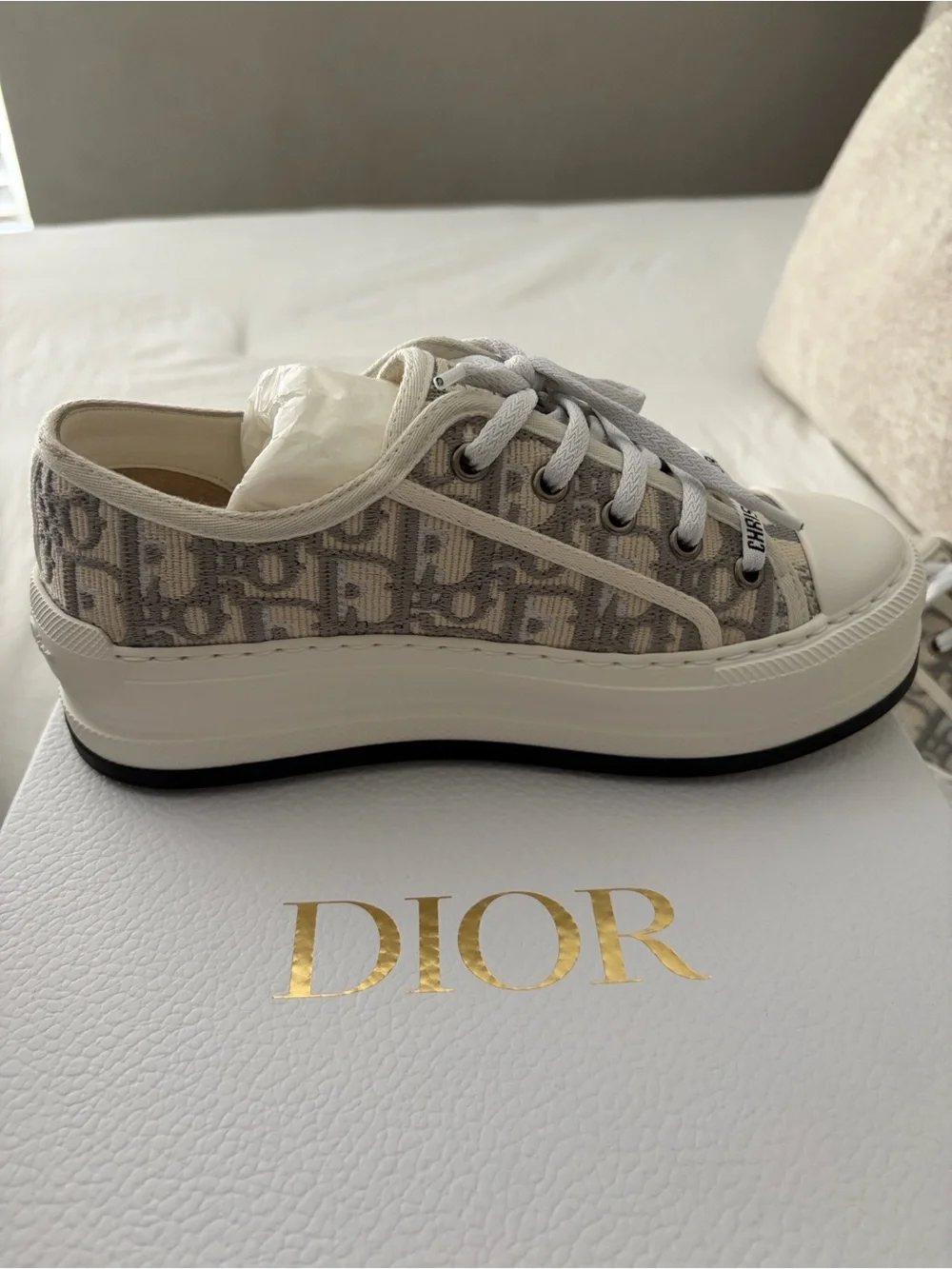 Dior extra oblique