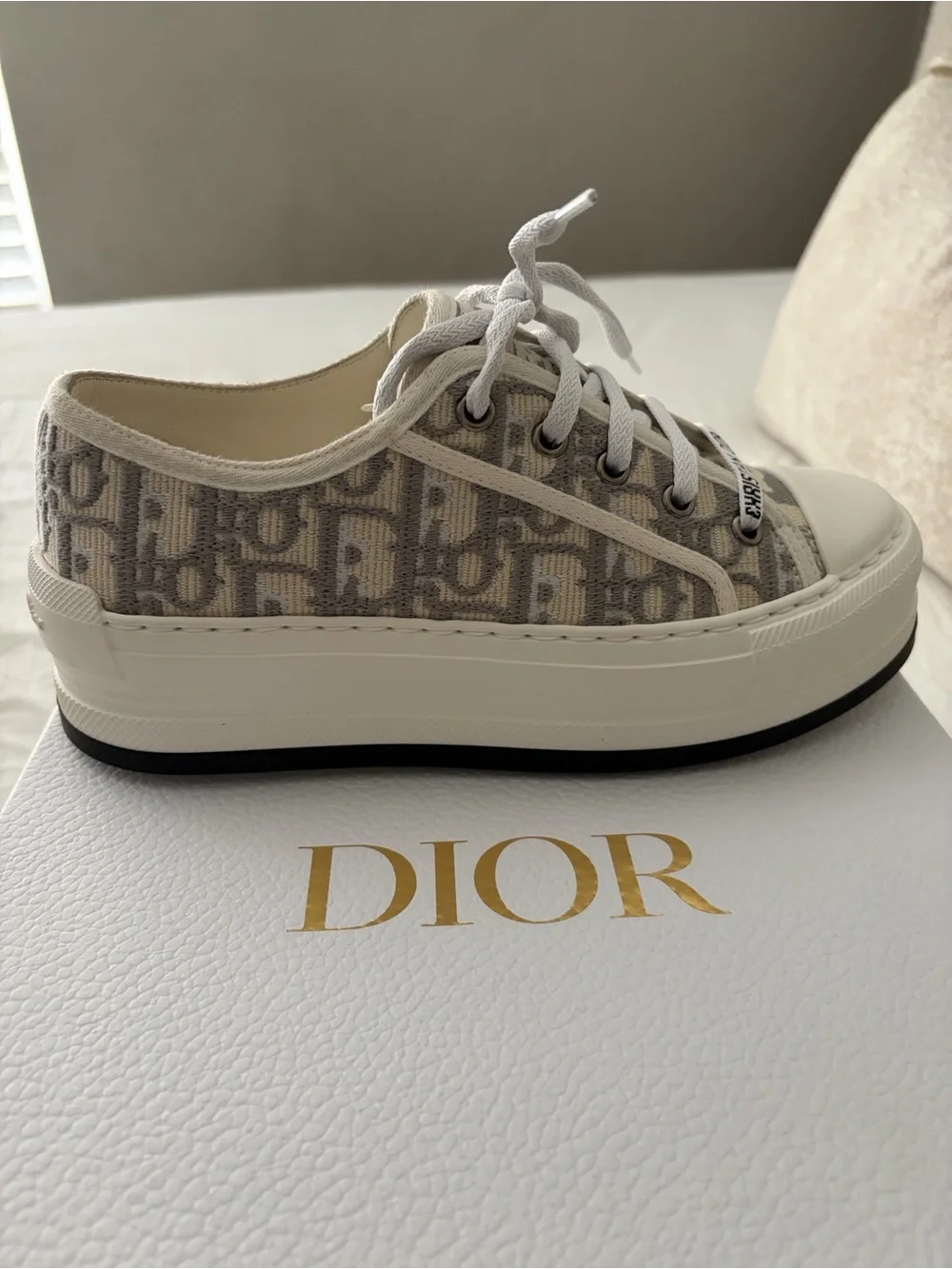Dior oblique comes