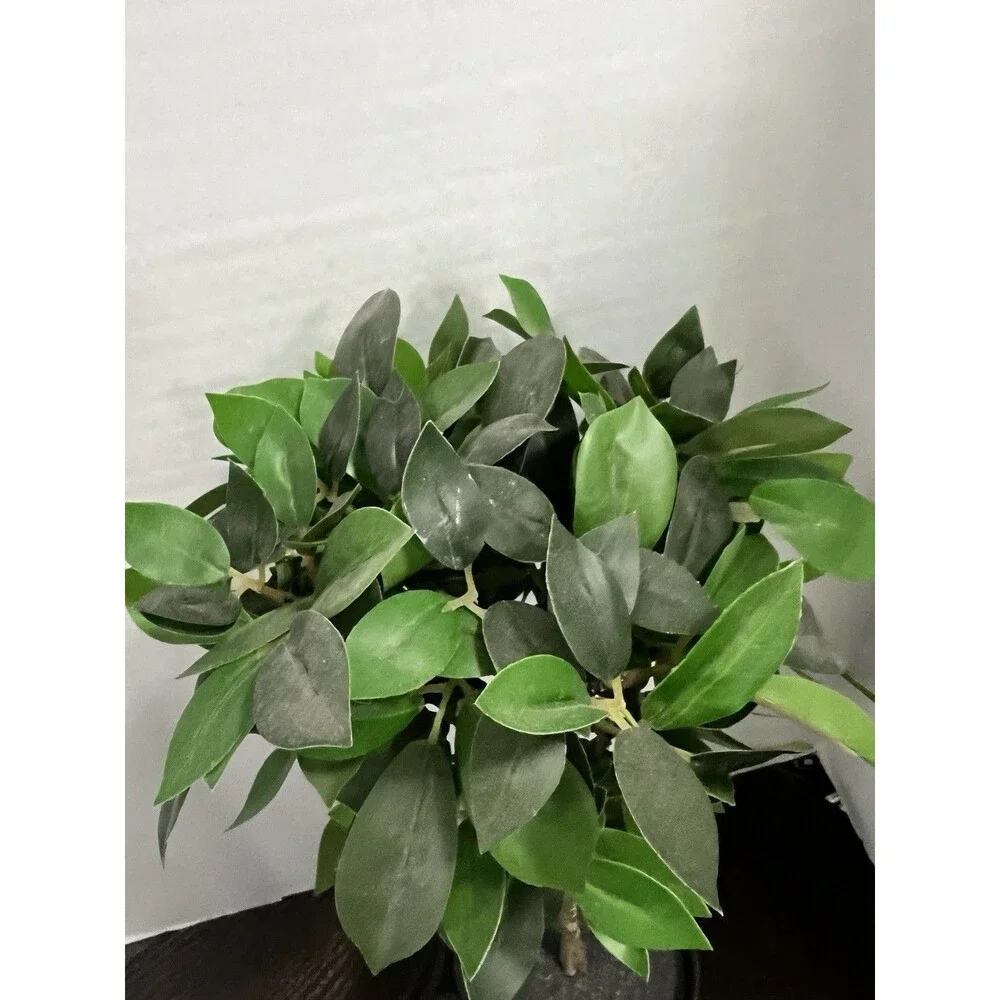 2 IKEA FEJKA Artificial Potted Plant Weeping Fig Stem 17