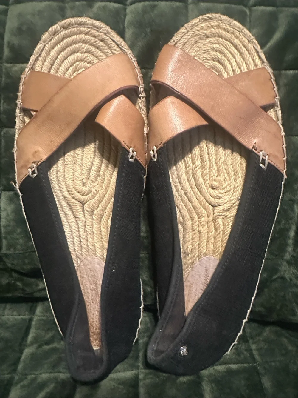 Tommy Bahama tommy bahama