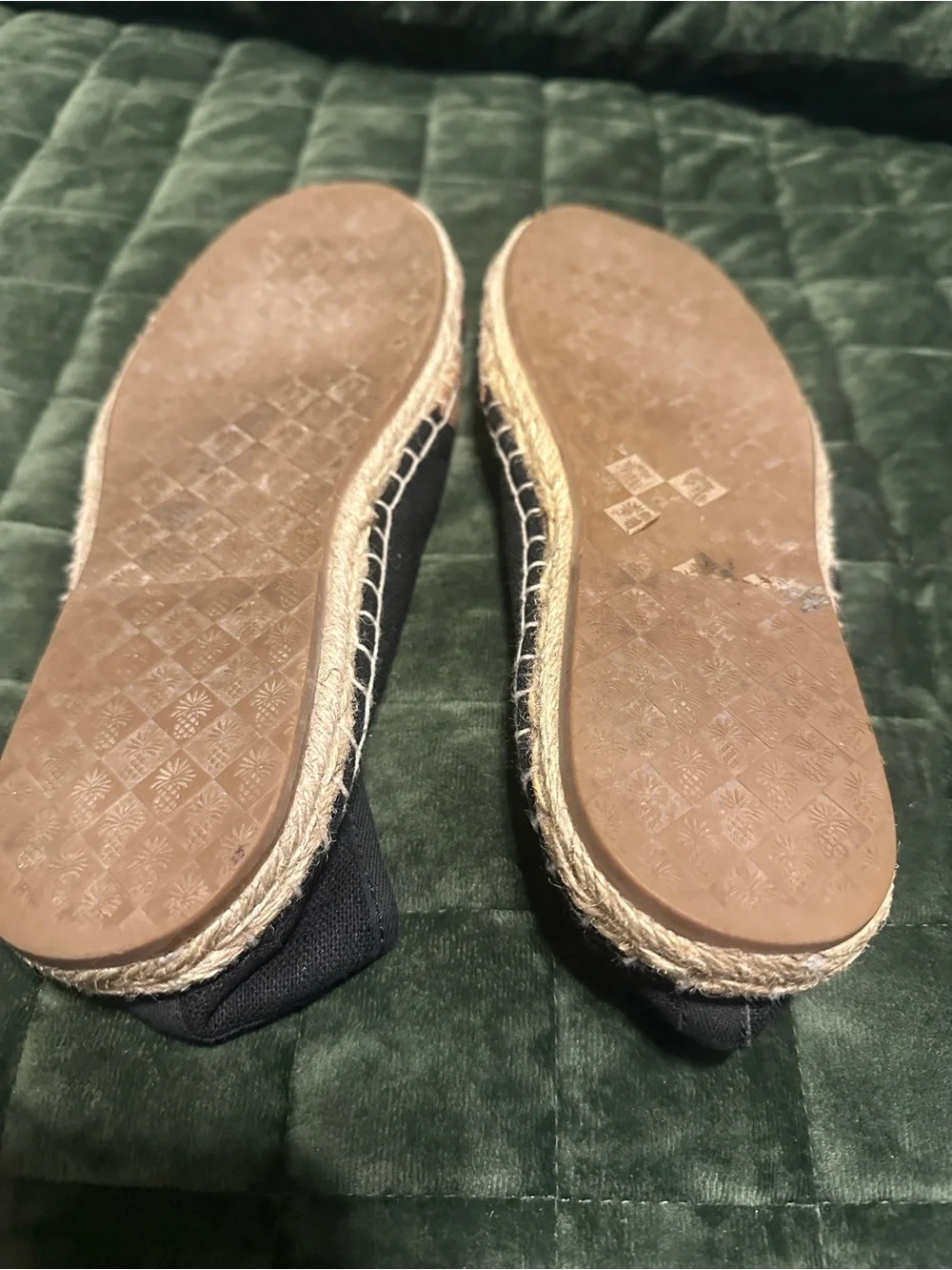 Tommy Bahama tommy bahama