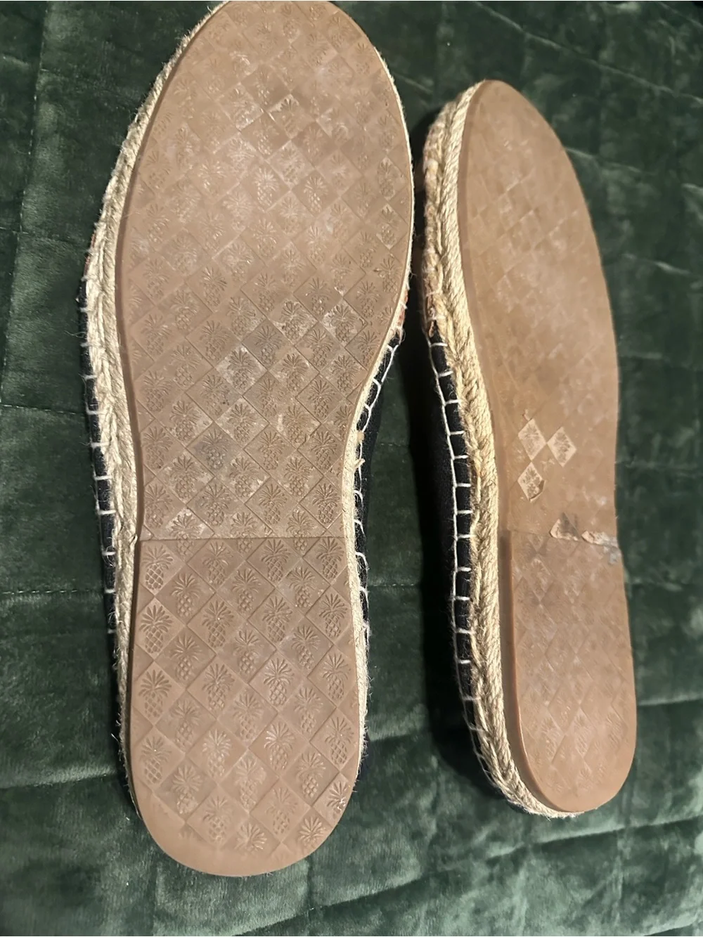 Tommy Bahama tommy bahama