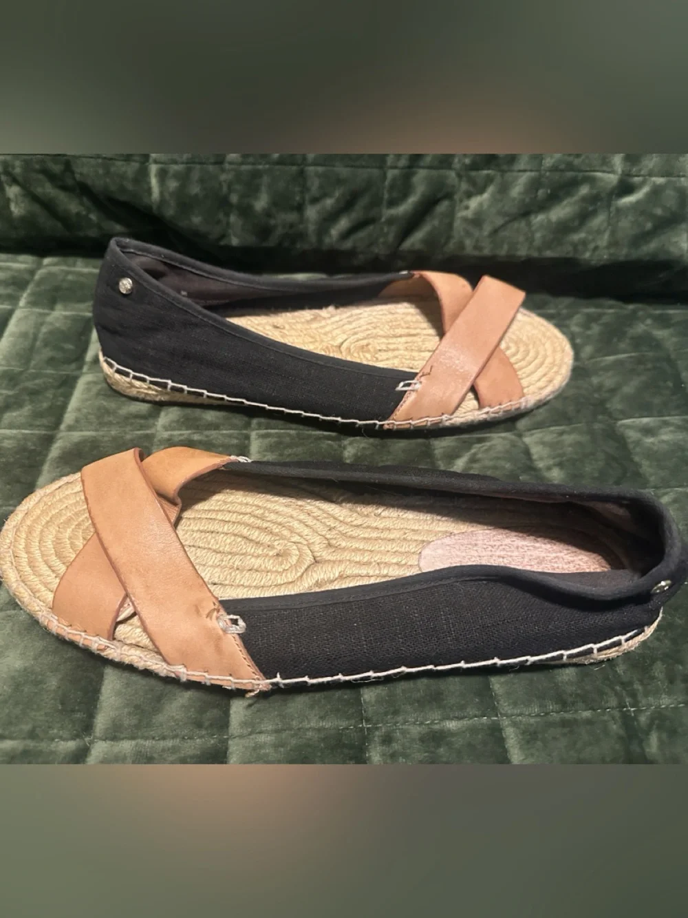 Tommy Bahama tommy bahama