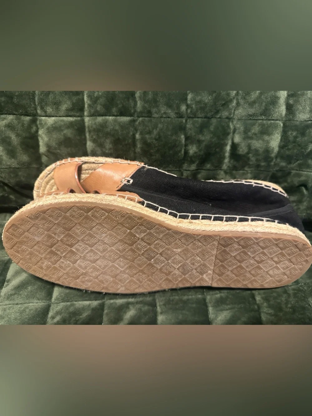 Tommy Bahama tommy bahama