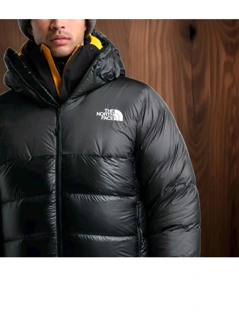 NORTH FACE SUMMIT SERIES L-6 800 PRO BELAY DOWN JACKET EXCELLENT CONDITION