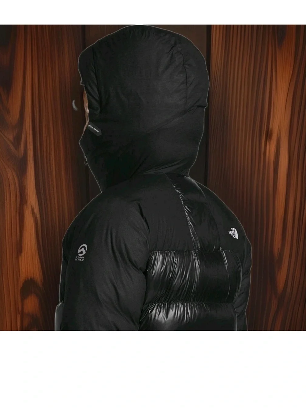 NORTH FACE SUMMIT SERIES L-6 800 PRO BELAY DOWN JACKET EXCELLENT CONDITION