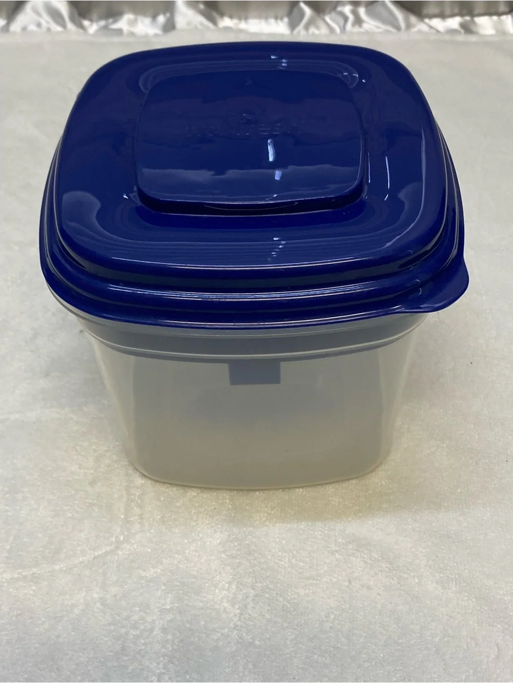 Fit & Fresh plastic sectional food storage container with a blue lid lunchbox