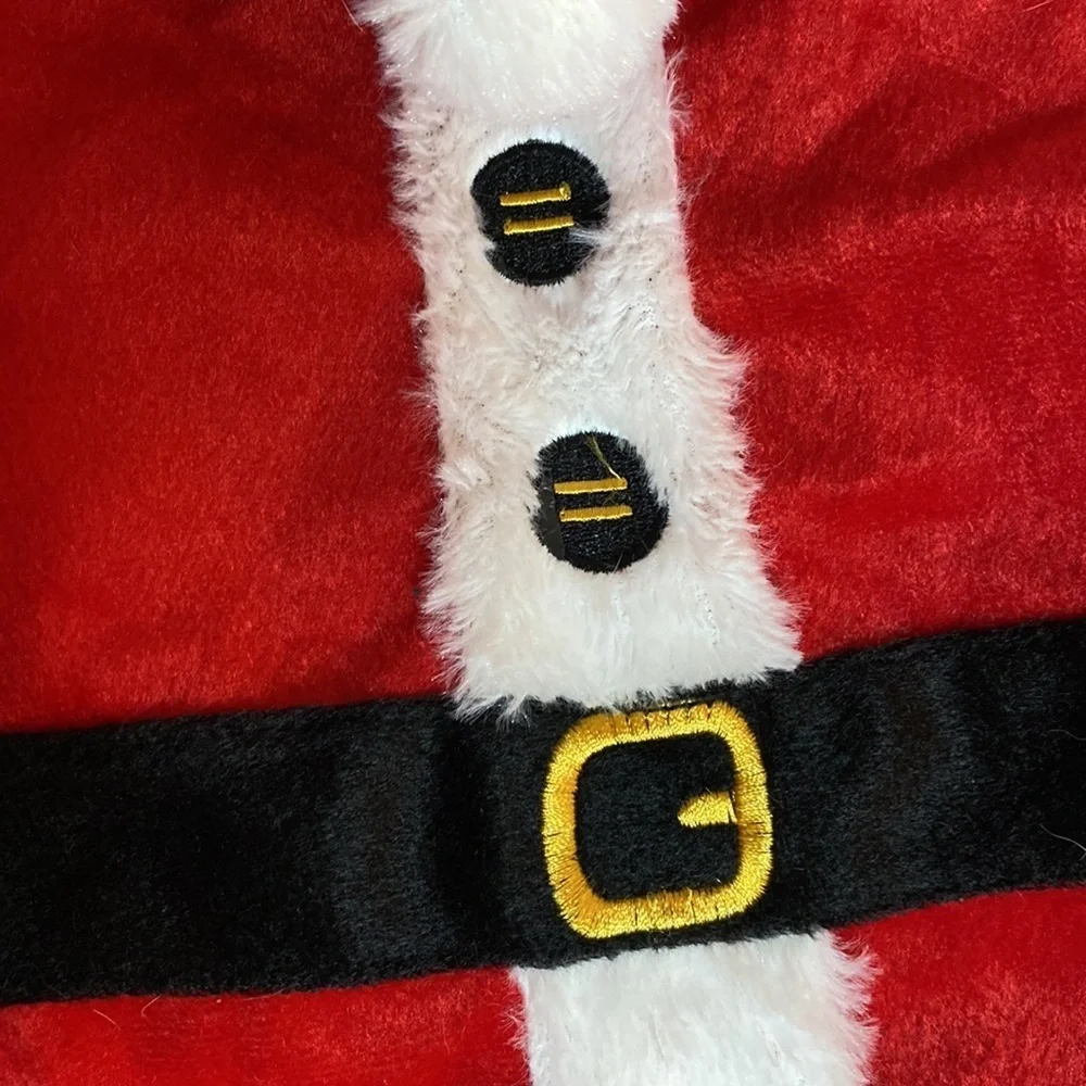 Dog Santa Costume