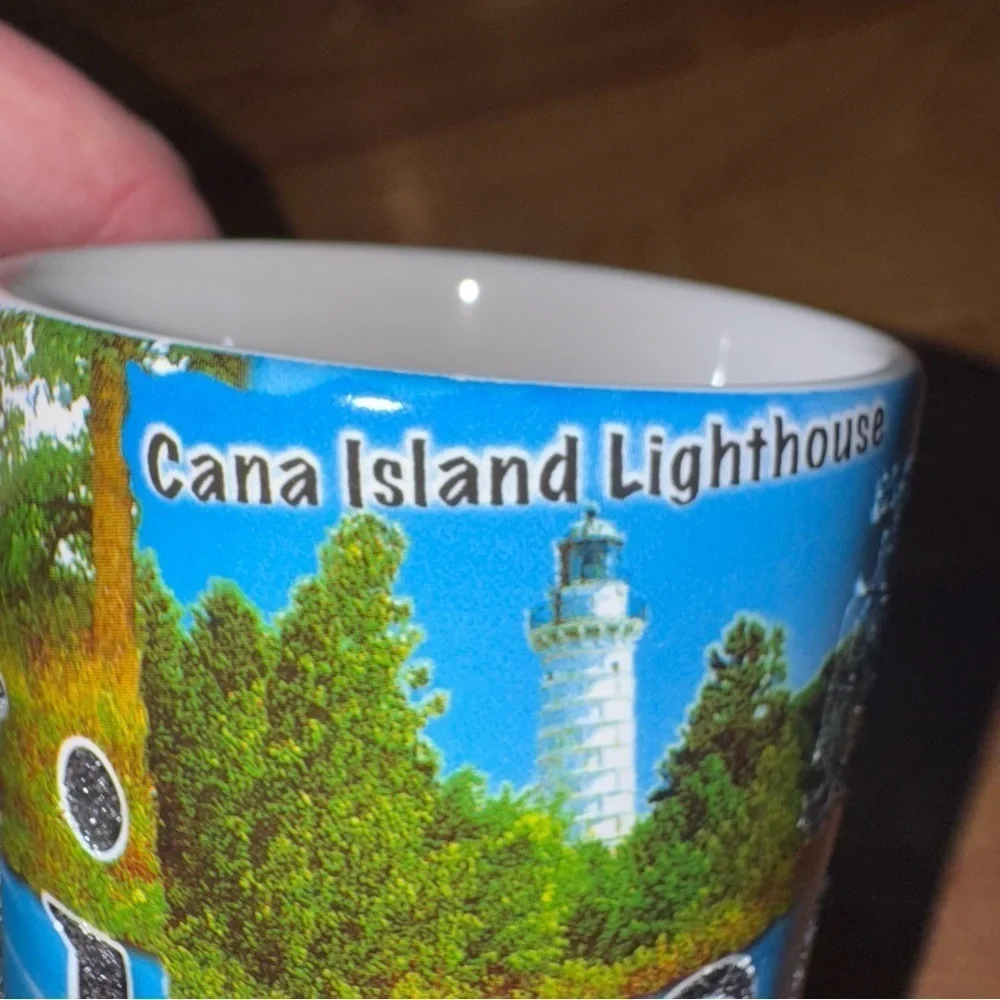 Americaware this mug